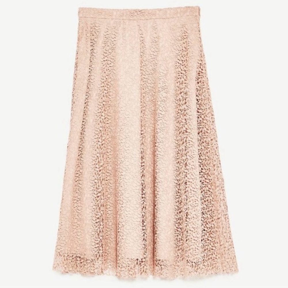 Zara lace midi skirt - Picture 7 of 7
